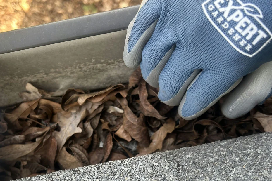 Gutter Cleaning Alva FL