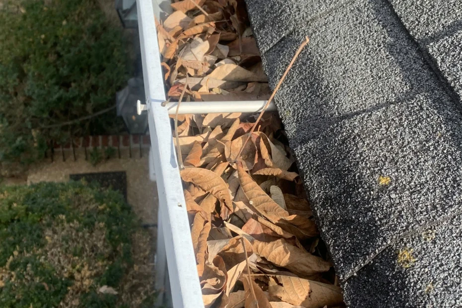 Gutter Cleaning Alva FL