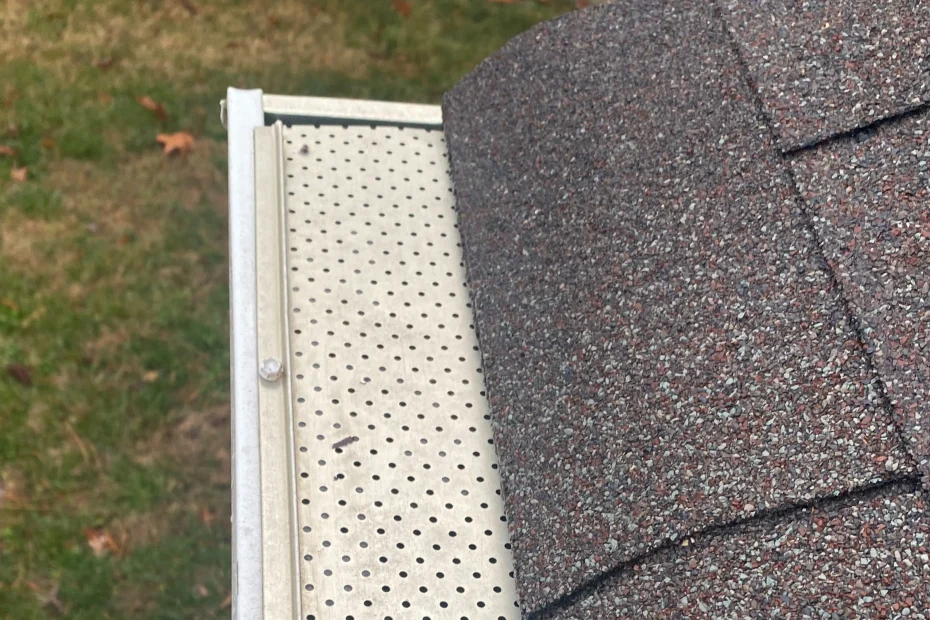 Gutter Cleaning Alva FL